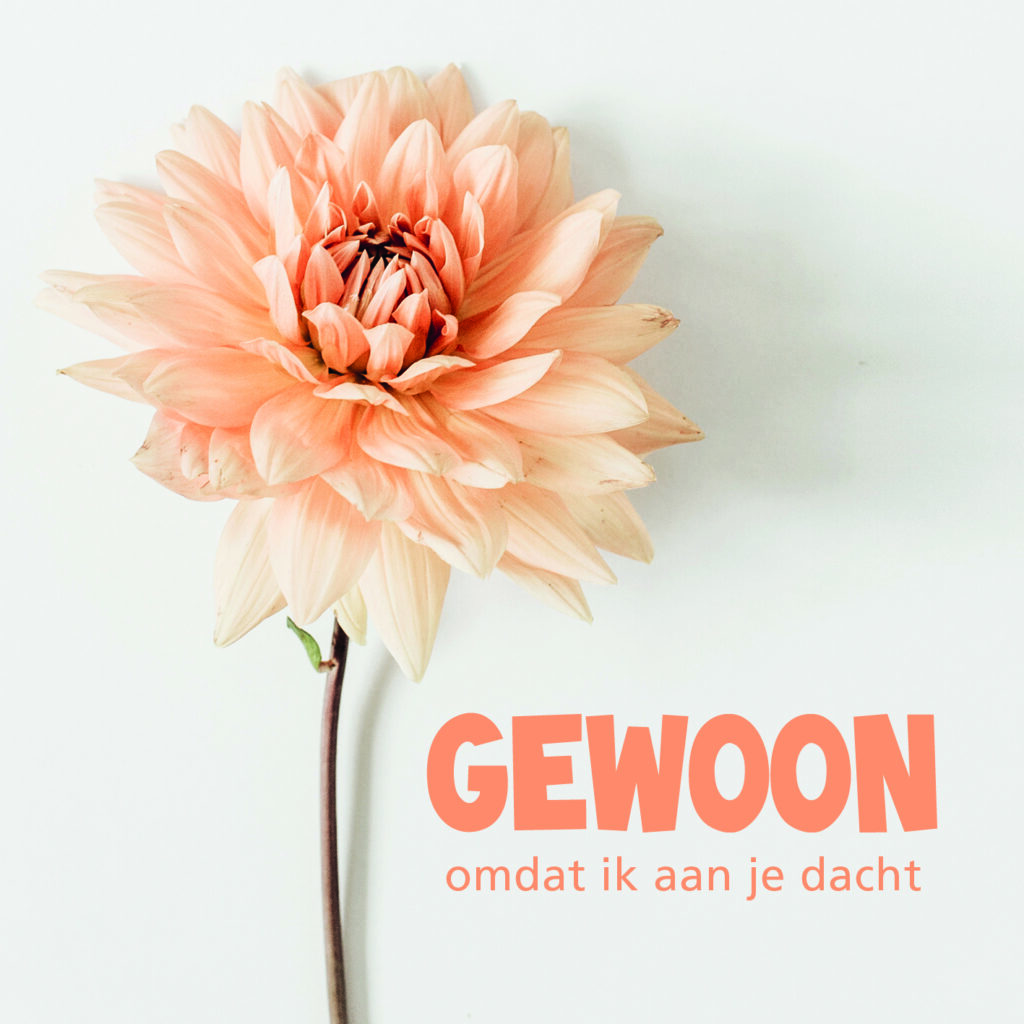 Mijn Gewoon Gewoon Energie